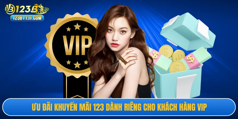 Ưu đãi khuyến mãi dành riêng cho khách hàng vip